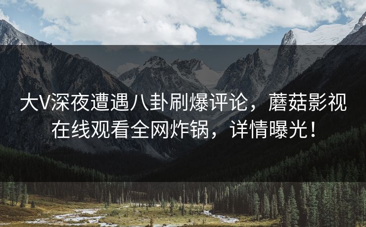 大V深夜遭遇八卦刷爆评论，蘑菇影视在线观看全网炸锅，详情曝光！