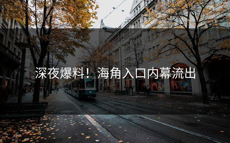 深夜爆料！海角入口内幕流出
