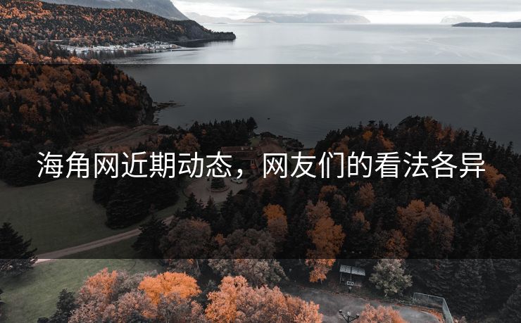 海角网近期动态，网友们的看法各异