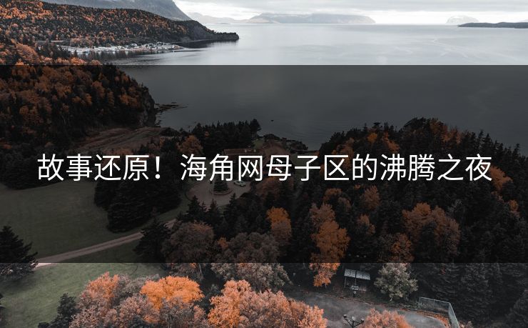 故事还原！海角网母子区的沸腾之夜