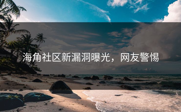 海角社区新漏洞曝光，网友警惕