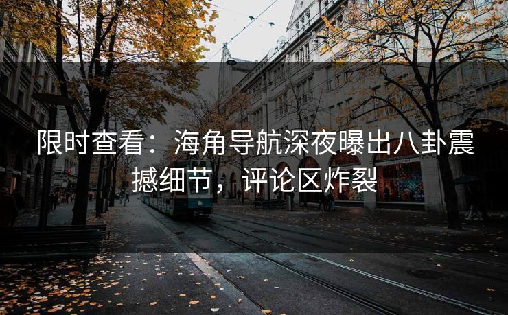 限时查看：海角导航深夜曝出八卦震撼细节，评论区炸裂