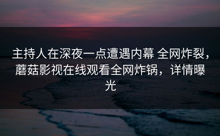 主持人在深夜一点遭遇内幕 全网炸裂，蘑菇影视在线观看全网炸锅，详情曝光