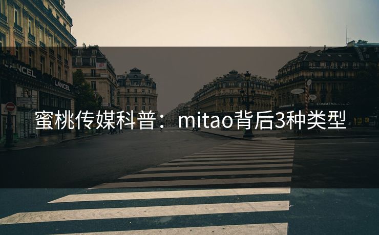 蜜桃传媒科普：mitao背后3种类型